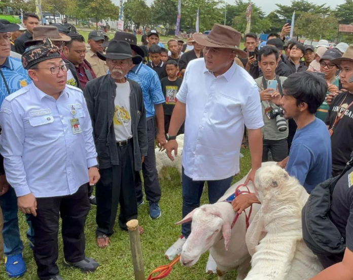 TNI AU Gelar Kontes Domba, Nilai Ekonomi Peternakan Kambing Meningkat Tajam