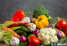 Serat Larut Penting untuk Pencernaan, Ini Daftar Makanan yang Disarankan Dokter Serat Larut Penting untuk Pencernaan, Ini Daftar Makanan yang Disarankan Dokter