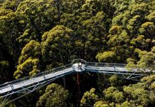 South West Western Australia Hadirkan Ragam Pengalaman Baru untuk Itinerary Perjalanan Wisata 2026 South West Western Australia Hadirkan Ragam Pengalaman Baru untuk Itinerary Perjalanan Wisata 2026
